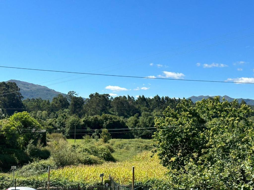 Casa Da Pontelha Villa Inn Ponte de Lima Εξωτερικό φωτογραφία